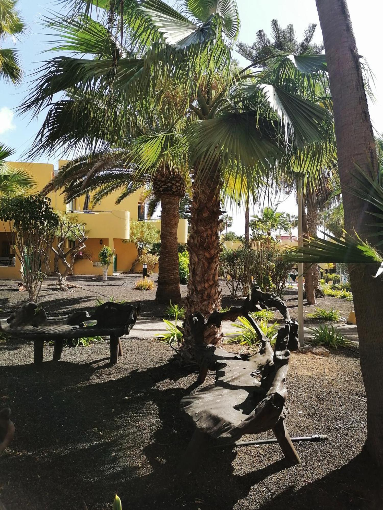 Casa Magdalena Appartement Corralejo Buitenkant foto